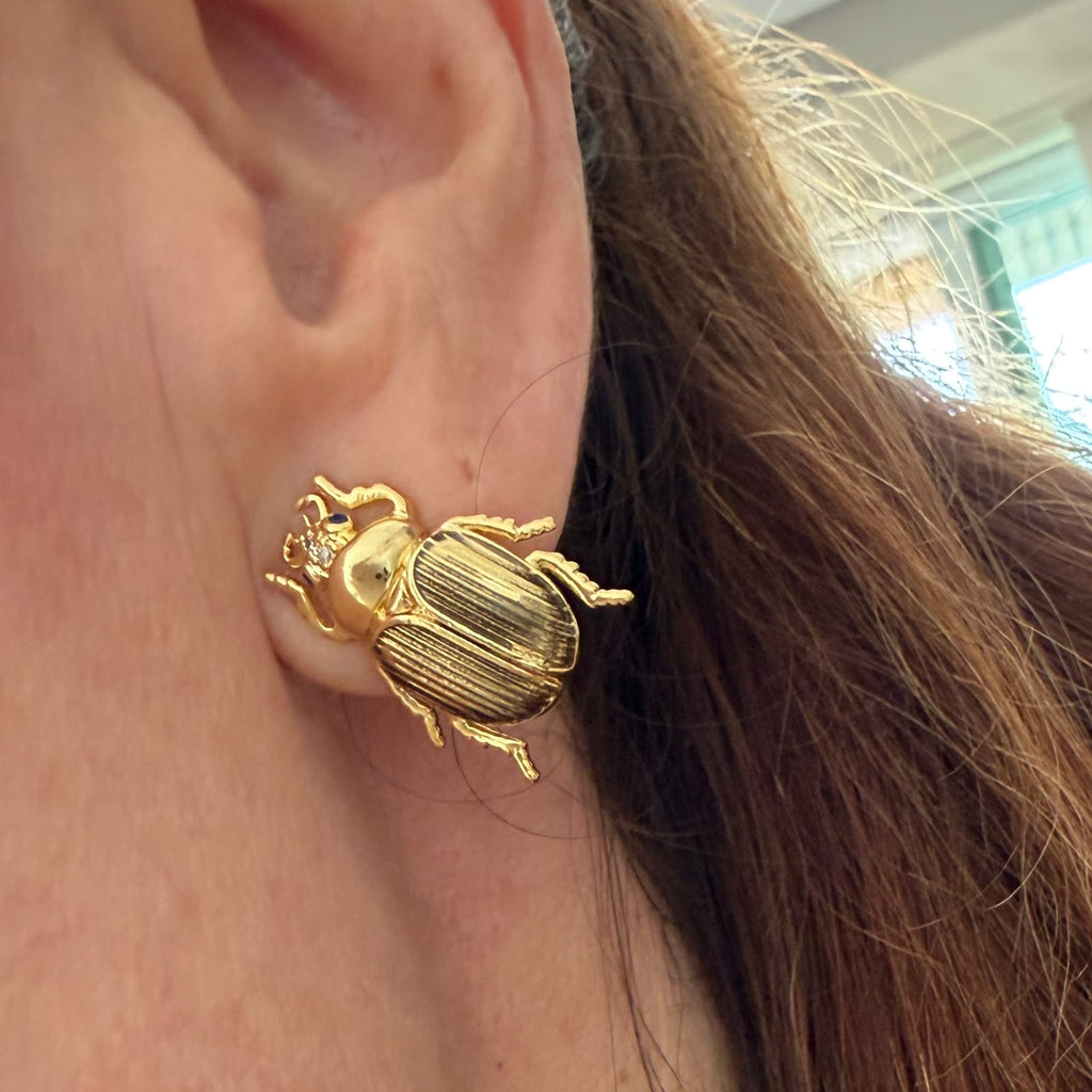 Aretes cucarrón