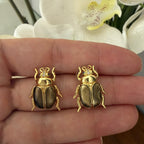 Aretes cucarrón