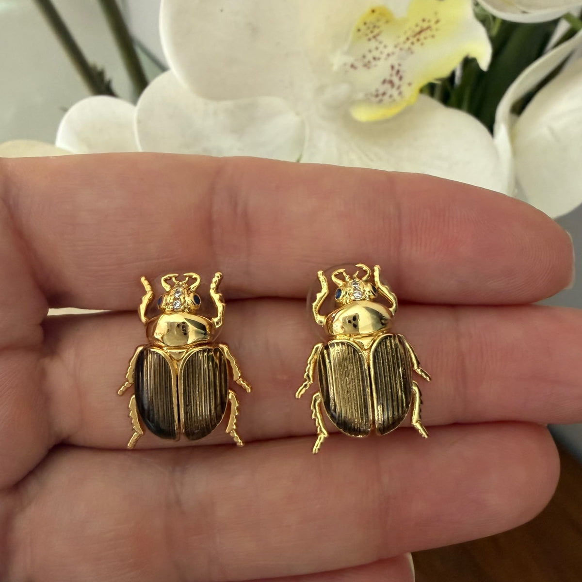 Aretes cucarrón