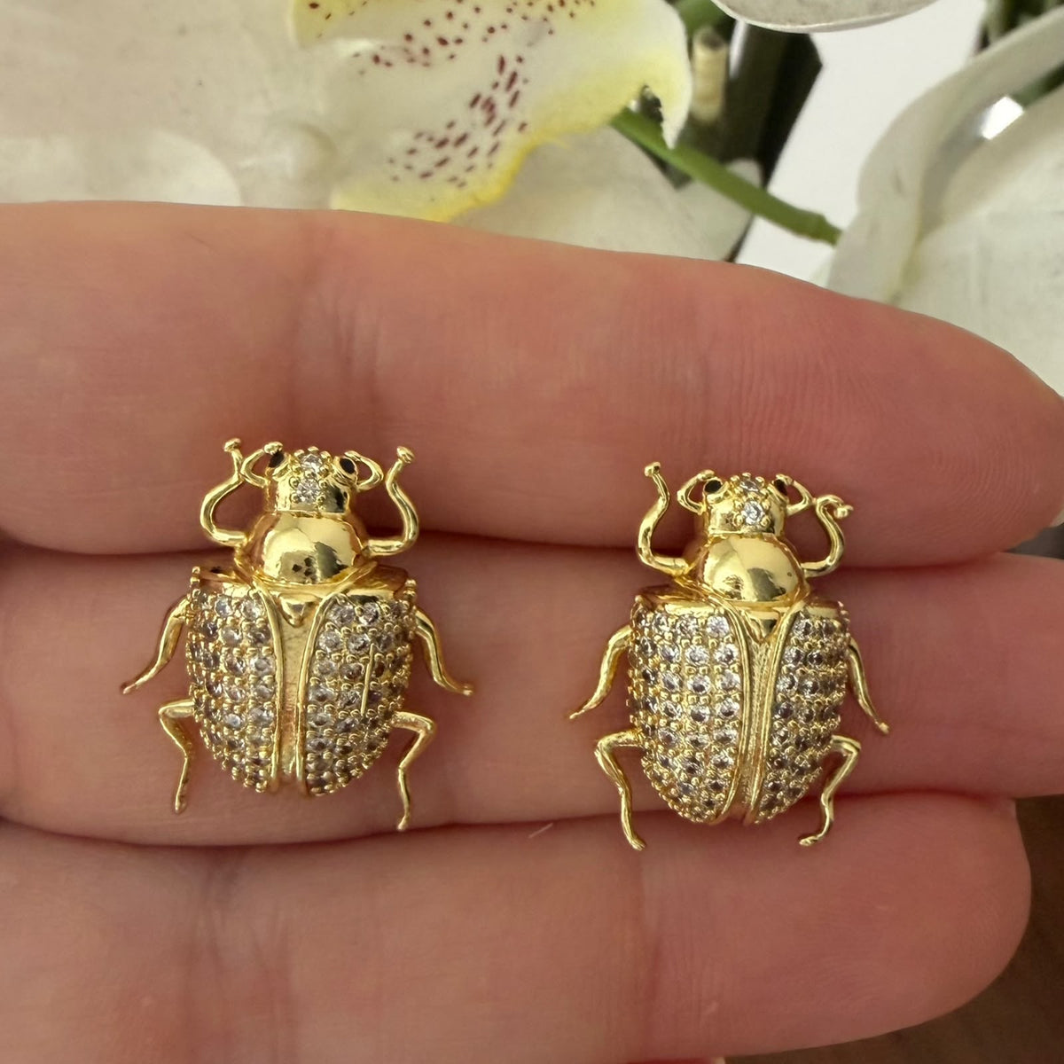 Aretes cucarrón cz